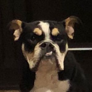 Meet your Posher, Eduardo